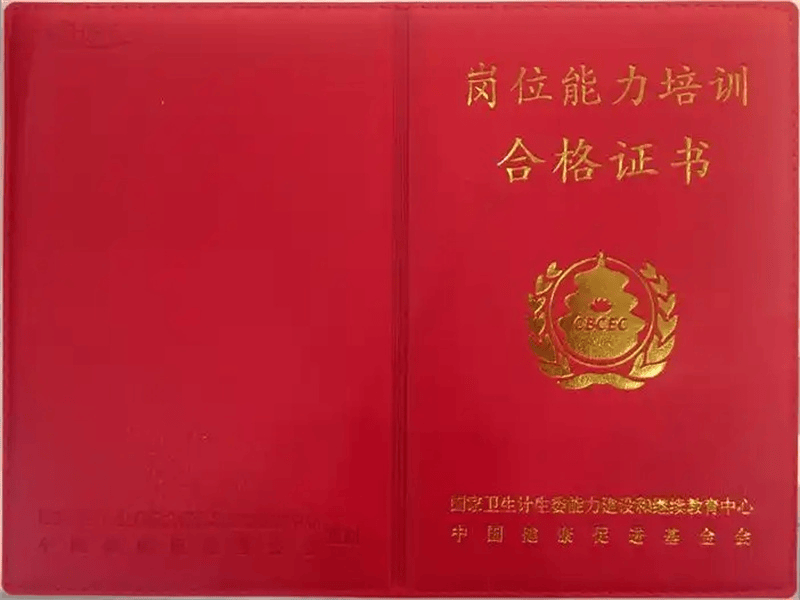 聘书任命书定制 聘书任命书定制-红金大气喜庆风